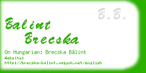 balint brecska business card